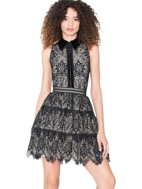 Alice + Olivia Black Lace Tiered Mini Dress with Contrast Collar